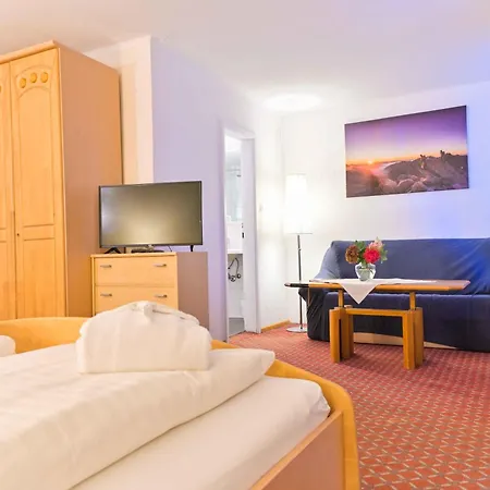 Hotel Alber